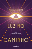 Luz no Caminho (eBook, ePUB)
