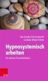 Hypnosystemisch arbeiten: Ein kleiner Praxisleitfaden (eBook, PDF)
