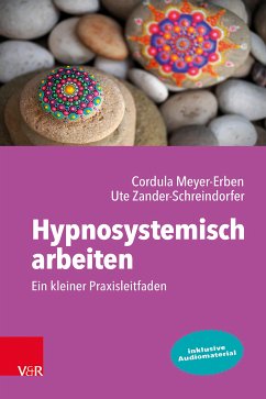 Hypnosystemisch arbeiten: Ein kleiner Praxisleitfaden (eBook, ePUB) - Meyer-Erben, Cordula; Zander-Schreindorfer, Ute