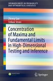 Concentration of Maxima and Fundamental Limits in High-Dimensional Testing and Inference (eBook, PDF)