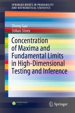 Concentration of Maxima and Fundamental Limits in High-Dimensional Testing and Inference (eBook, PDF) - Gao, Zheng; Stoev, Stilian