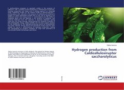 Hydrogen production from Caldicellulosiruptor saccharolyticus - Ivanova, Galina