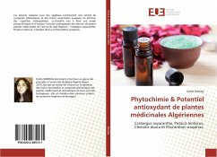 Phytochimie & Potentiel antioxydant de plantes médicinales Algériennes - Meridja, Dahia