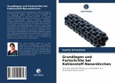 Grundlagen und Fortschritte bei Kohlenstoff-Nanoröhrchen