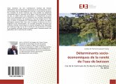 Déterminants socio-économiques de la rareté de l¿eau de boisson