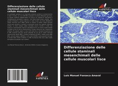 Differenziazione delle cellule staminali mesenchimali delle cellule muscolari lisce - Fonseca Amaral, Luis Manuel