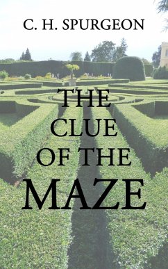 Cover The Clue of the Maze (eBook, ePUB)