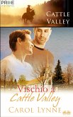 Vischio A Cattle Valley (eBook, ePUB)