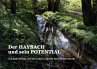 Der HAYBACH und sein POTENTIAL - Bild 1