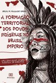 A Formação Territorial dos Povos Indígenas no Brasil Império (eBook, ePUB)