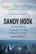 Sandy Hook (eBook, ePUB) - Bild 1