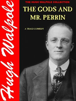 The Gods and Mr. Perrin (eBook, ePUB)