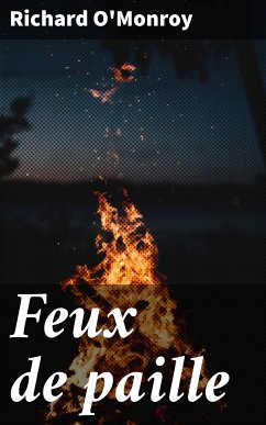 Feux de paille (eBook, ePUB) - O'Monroy, Richard