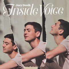 Inside Voice - Dosik,Joey