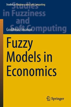 Cover Fuzzy Models in Economics