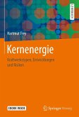 Kernenergie (eBook, PDF)