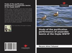 Study of the purification performance of anaerobic basins at the Oujda WWTP - Idrissi Yahyaoui, Meryem