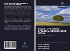 KOOLSTOFDIOXIDE-OPSLAG in GEOLOGISCHE MEDIA