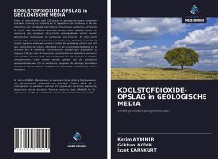 KOOLSTOFDIOXIDE-OPSLAG in GEOLOGISCHE MEDIA - Aydiner, Kerim;Aydin, Gökhan;Karakurt, Izzet