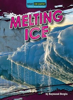 Melting Ice - Bergin, Raymond