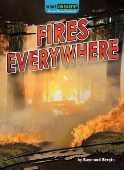 Fires Everywhere - Bergin, Raymond