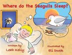 Where do the Seagulls sleep?