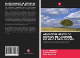 ARMAZENAMENTO DE DIÓXIDO DE CARBONO EM MEIOS GEOLÓGICOS