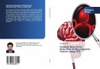 Cerebral Aneurysms: Deduction of Hemodynamic Factors using CFD