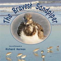 The Bravest Sandpiper - Harmon, Richard