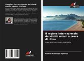 Il regime internazionale dei diritti umani a prova di clima