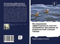 Issledowanie äffektiwnosti ochistki anaärobnyh bassejnow na wodoochistnoj stancii Udzhda - Idrissi Yah'qui, Meriem