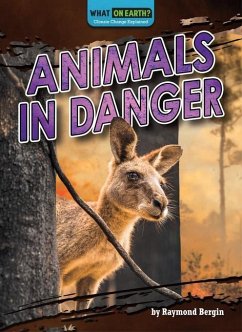 Animals in Danger - Bergin, Raymond