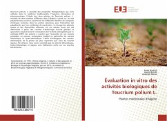 Évaluation in vitro des activités biologiques de Teucrium polium L. - Bouhali, Asma; Bendif, Hamdi; Rahali, Abdellah
