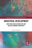 Industrial Development (eBook, ePUB)