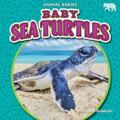 Baby Sea Turtles - Grodzicki, Jenna