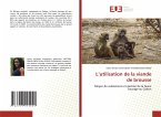 L'utilisation de la viande de brousse