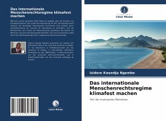 Das internationale Menschenrechtsregime klimafest machen - Kwandja Ngembo, Isidore