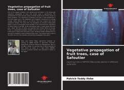 Vegetative propagation of fruit trees, case of Safoutier - Ifebe, Patrick-Teddy