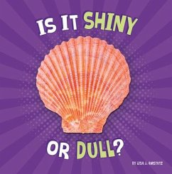 Is It Shiny or Dull? - Amstutz, Lisa J.