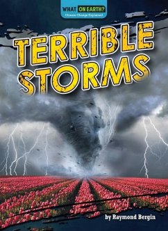 Terrible Storms - Bergin, Raymond