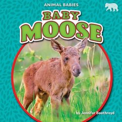 Cover Baby Moose