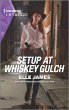 Setup at Whiskey Gulch (eBook, ePUB) - Bild 1