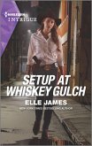 Setup at Whiskey Gulch (eBook, ePUB)