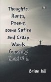 Thoughts, Rants, Poems, some Satire and Crazy Words from my Head #2
