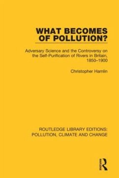 What Becomes of Pollution? - Hamlin, Christopher