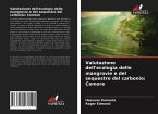 Valutazione dell'ecologia delle mangrovie e del sequestro del carbonio: Comore
