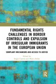 Fundamental Rights Challenges in Border Controls and Expulsion of Irregular Immigrants in the European Union