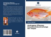 Androgene Pflanzen Geschlechtskontrollwege bei Tilapia