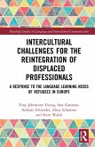 Intercultural Challenges for the Reintegration of Displaced Professionals