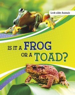 Is It a Frog or a Toad? - Katz, Susan B.
